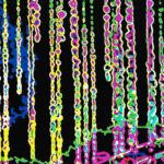 Vertical chains